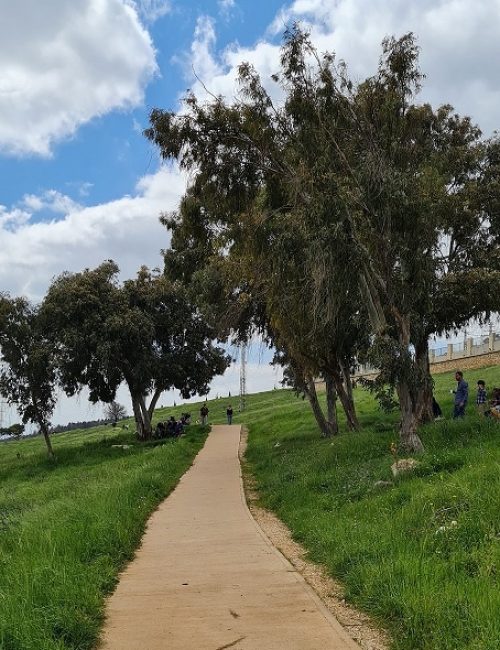 שמורת הטבע אירוס נצרתי – נצרת עלית נוף הגליל