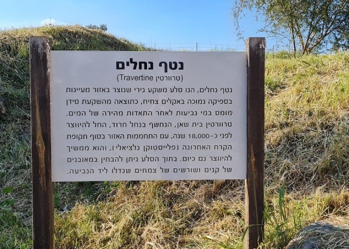 שביל בין הגשרים – נחל חרוד בית שאן