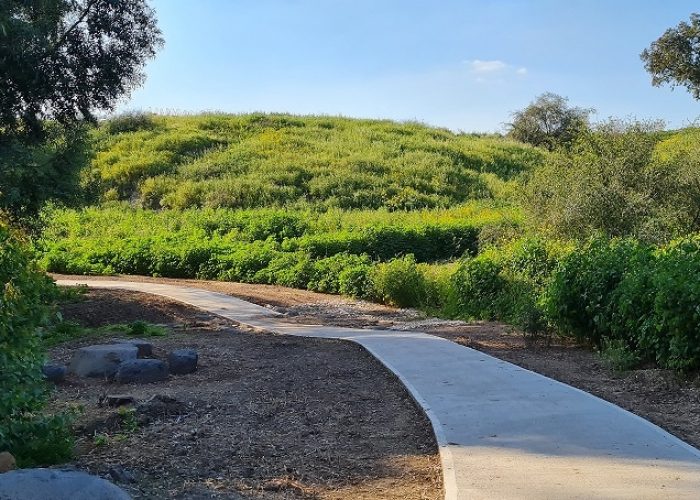 שביל בין הגשרים – נחל חרוד בית שאן