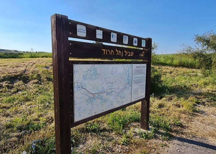 שביל בין הגשרים – נחל חרוד בית שאן