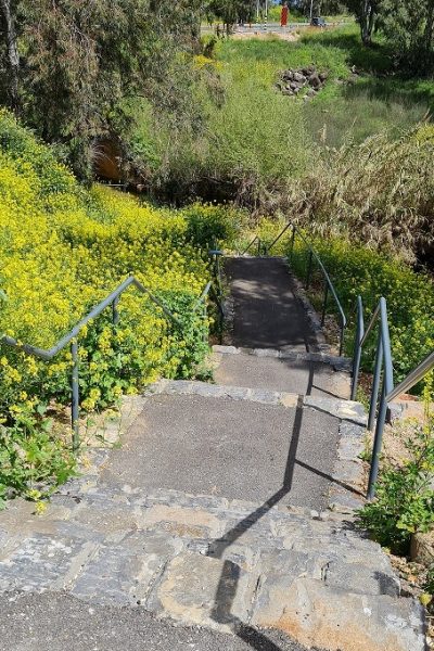 בריכת המנחת פארק המטוס - נחל עיון