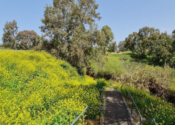 בריכת המנחת פארק המטוס - נחל עיון