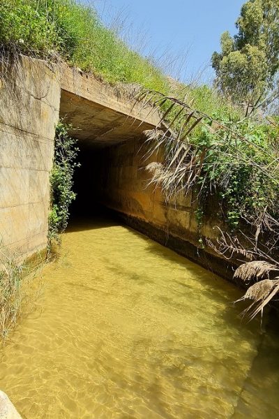 בריכת המנחת פארק המטוס - נחל עיון