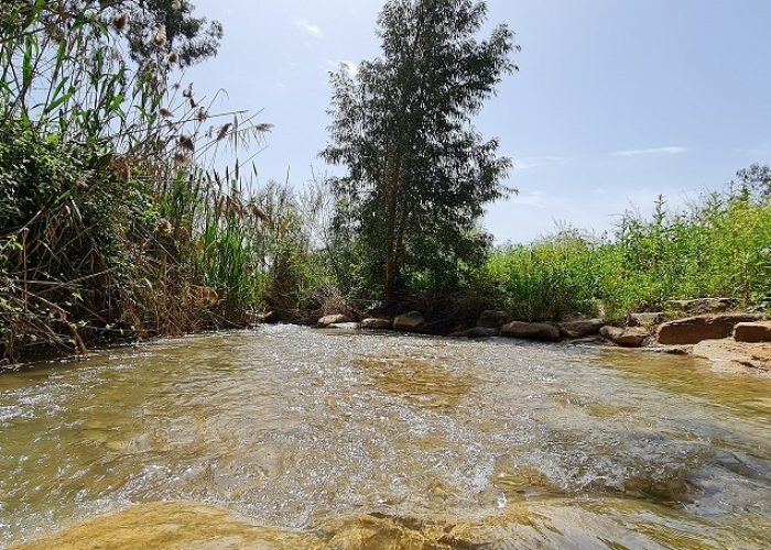 בריכת המנחת פארק המטוס - נחל עיון