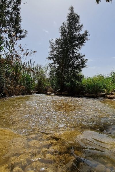 בריכת המנחת פארק המטוס - נחל עיון