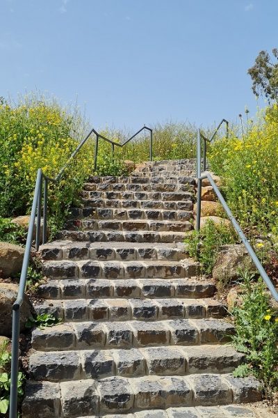 בריכת המנחת פארק המטוס - נחל עיון