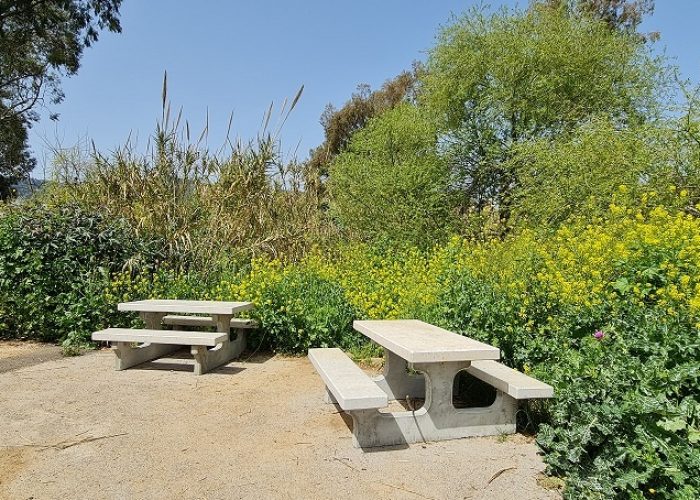 בריכת המנחת פארק המטוס - נחל עיון