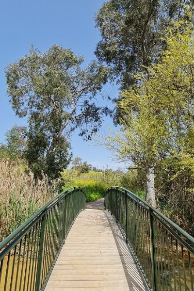 בריכת המנחת פארק המטוס - נחל עיון