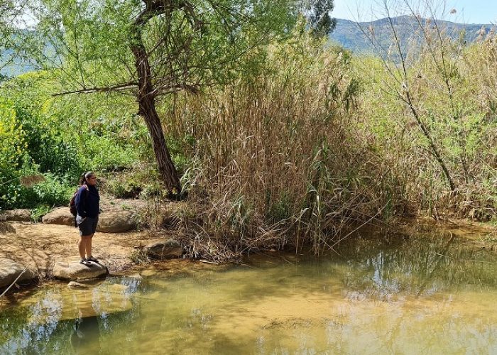 בריכת המנחת פארק המטוס - נחל עיון