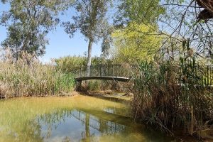 בריכת המנחת פארק המטוס - נחל עיון