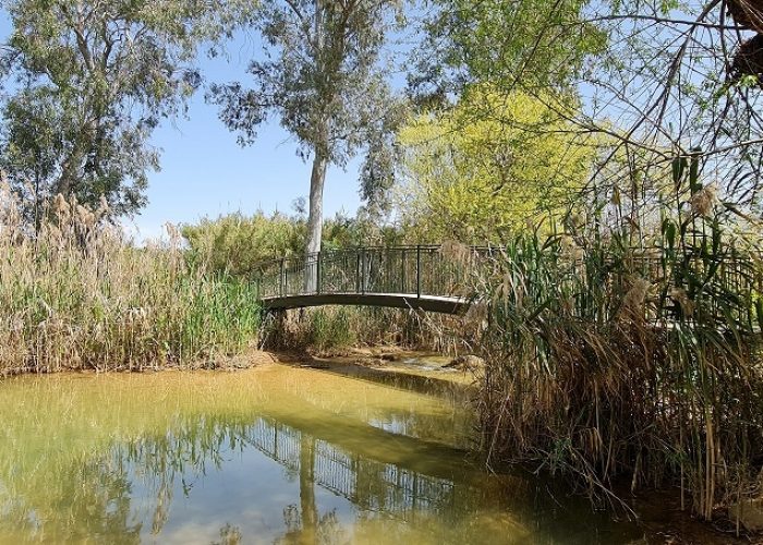 בריכת המנחת פארק המטוס - נחל עיון