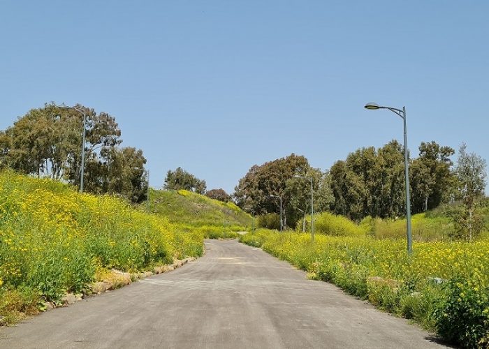 בריכת המנחת פארק המטוס - נחל עיון