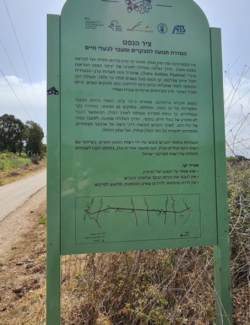 מצפה גולני תל פאחר וציר הנפט בחלקו הצפוני