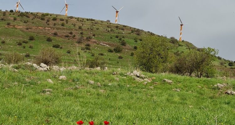 שמורת הטבע הר בני רסן