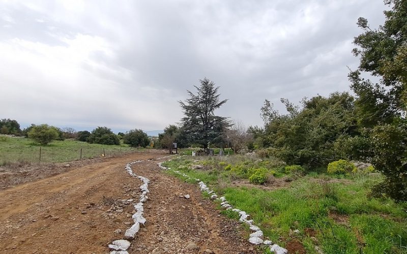 אנדרטת הנגמ"ש התאנה והארז – מלחמת יום הכיפורים