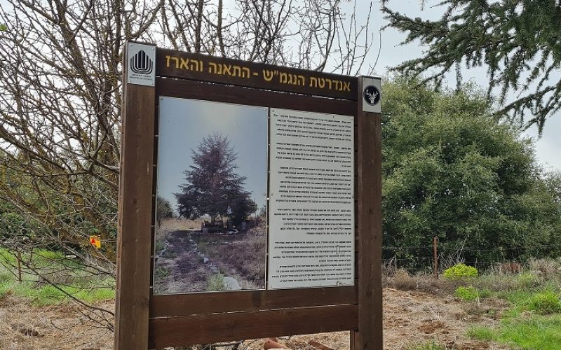 אנדרטת הנגמ"ש התאנה והארז – מלחמת יום הכיפורים