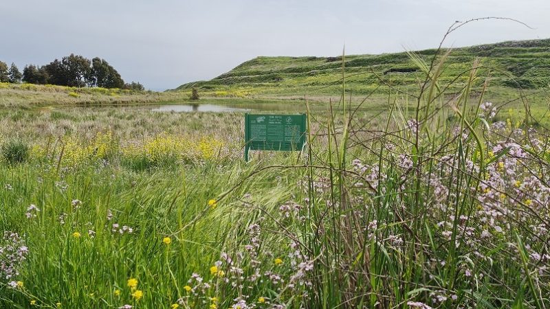 עין אורחה עין ג'וחדר התל וחאן ג'וחדר ברמת הגולן