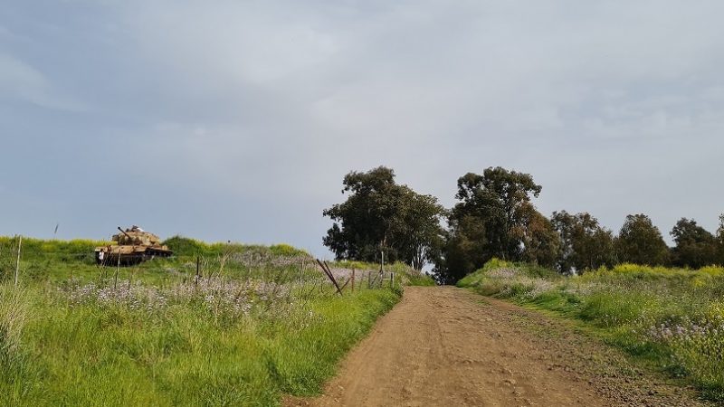 עין אורחה עין ג'וחדר התל וחאן ג'וחדר ברמת הגולן
