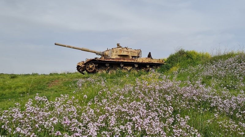 עין אורחה עין ג'וחדר התל וחאן ג'וחדר ברמת הגולן