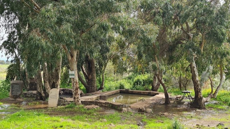 עין אורחה עין ג'וחדר התל וחאן ג'וחדר ברמת הגולן