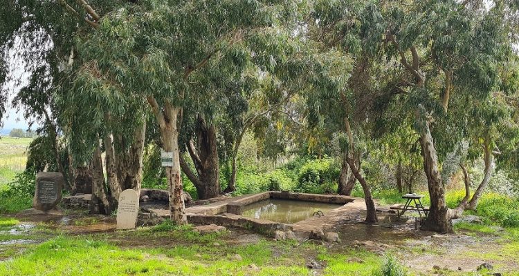 עין ג'וחדר בריכת ג'וחדר בריכת אורחה עין אורחה