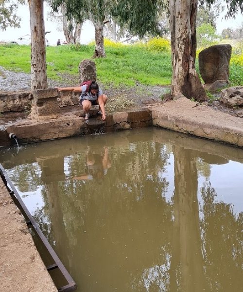 עין אורחה עין ג'וחדר התל וחאן ג'וחדר ברמת הגולן