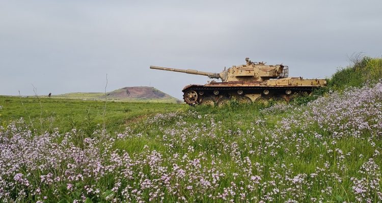 עין ג'וחדר בריכת ג'וחדר בריכת אורחה עין אורחה