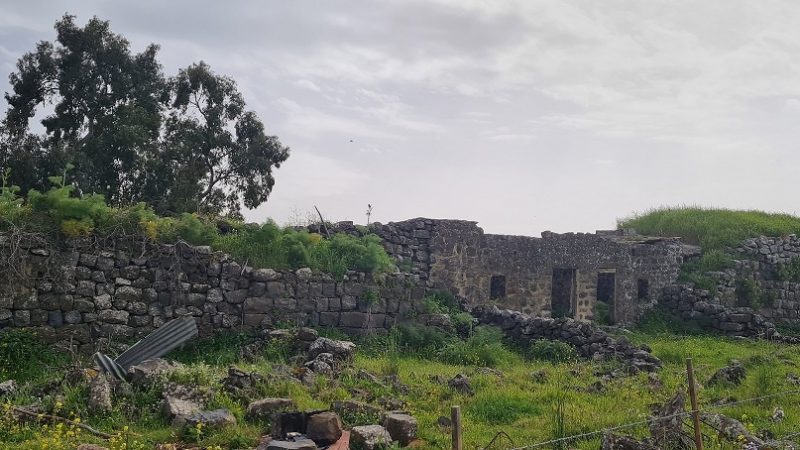 עין אורחה עין ג'וחדר התל וחאן ג'וחדר ברמת הגולן