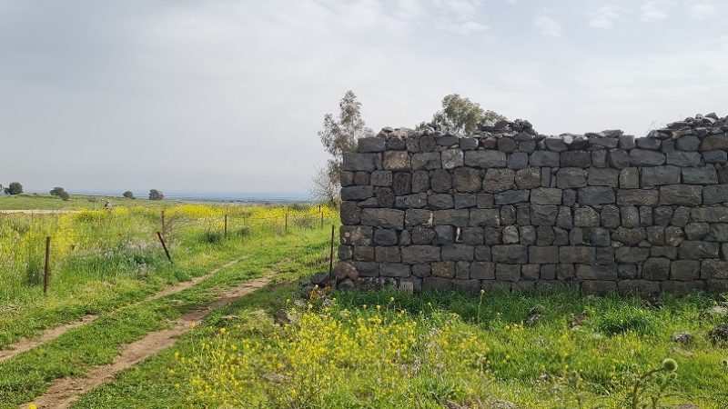עין אורחה עין ג'וחדר התל וחאן ג'וחדר ברמת הגולן