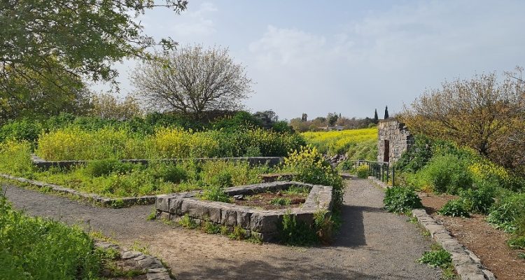 כפר פיק עין פיק רמת הגולן