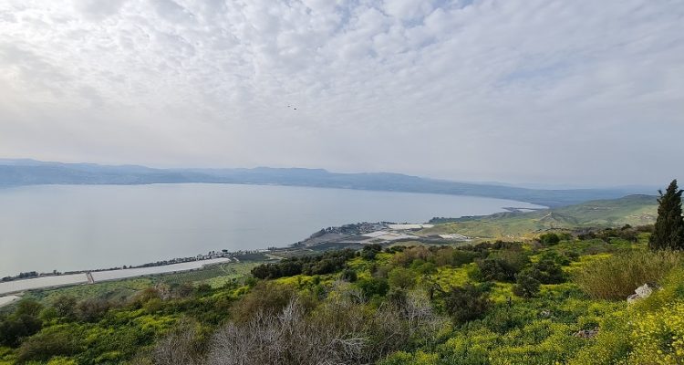 מצפה השלום תצפית ברמת הגולן