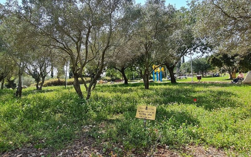 פארק המחצבה פארק הגליל בכרמיאל