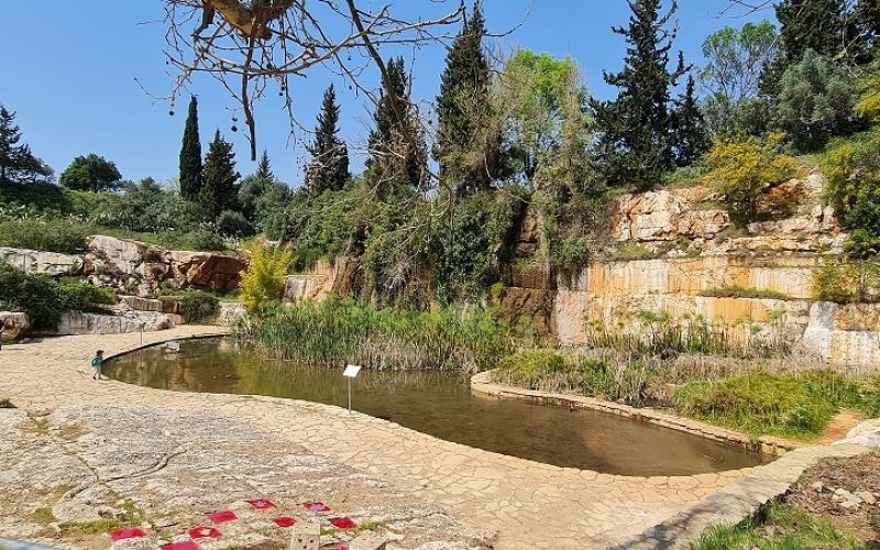 פארק המחצבה פארק הגליל בכרמיאל