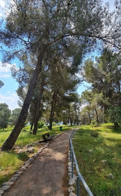 דרך נוף יער בית קשת מסלולים ותצפיות – נוף התבור