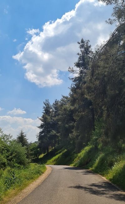 דרך נוף יער בית קשת מסלולים ותצפיות – נוף התבור