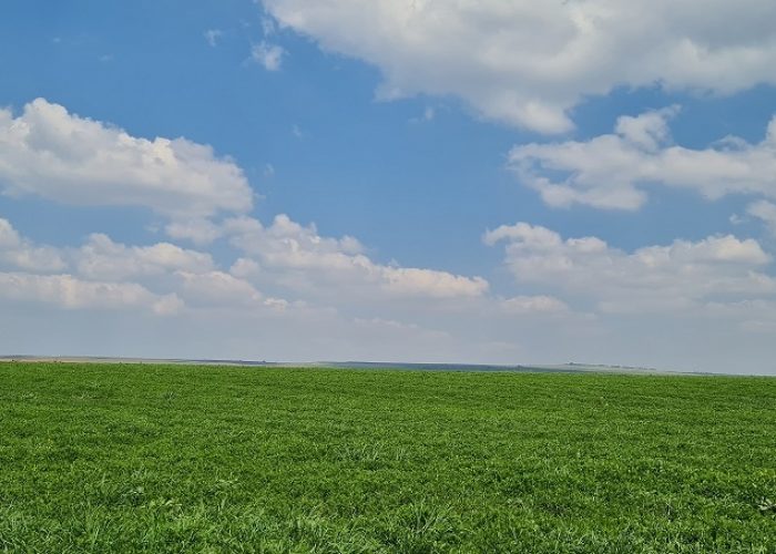 שביל נוף גבעת המורה-יששכר שלוחת הצבאים | לזכרו של עובד דרור