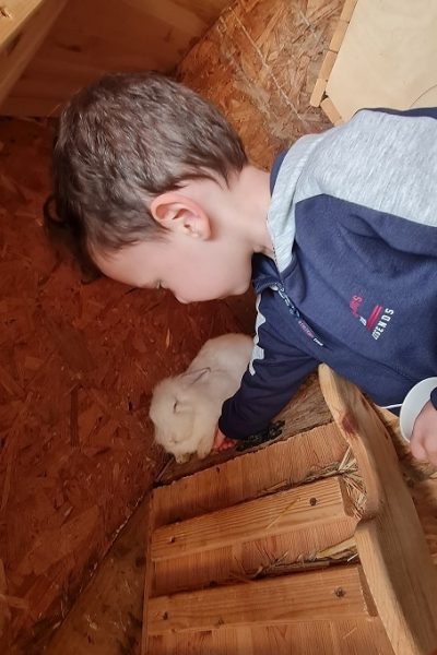 כפר הארנבונים חוות נגר – בית לחם הגלילית