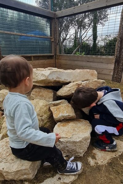 כפר הארנבונים חוות נגר – בית לחם הגלילית