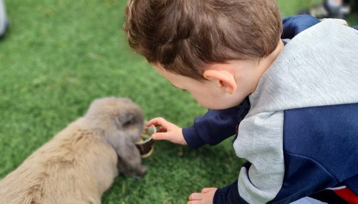 כפר הארנבונים חוות נגר – בית לחם הגלילית