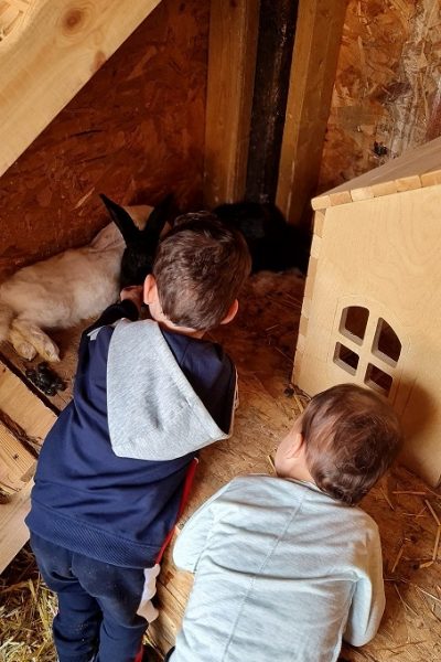 כפר הארנבונים חוות נגר – בית לחם הגלילית