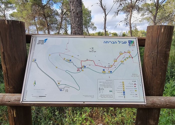 שביל הבריחה ביער עופר יער חוף הכרמל
