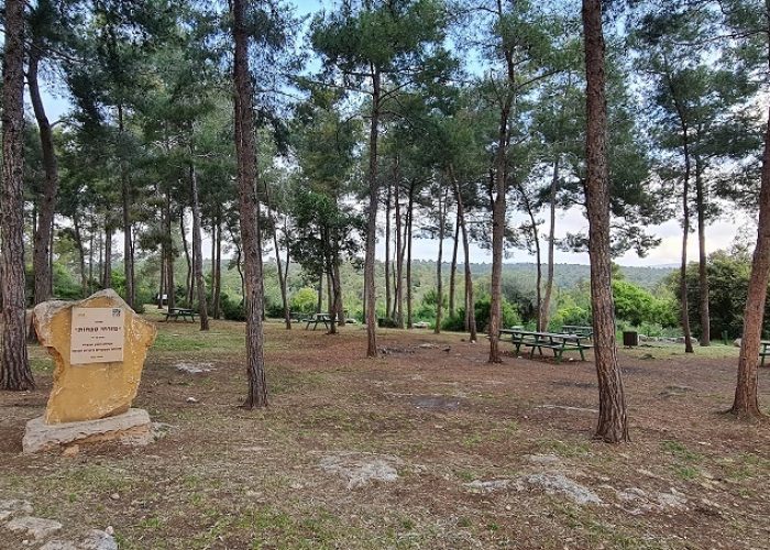 שביל הבריחה ביער עופר יער חוף הכרמל