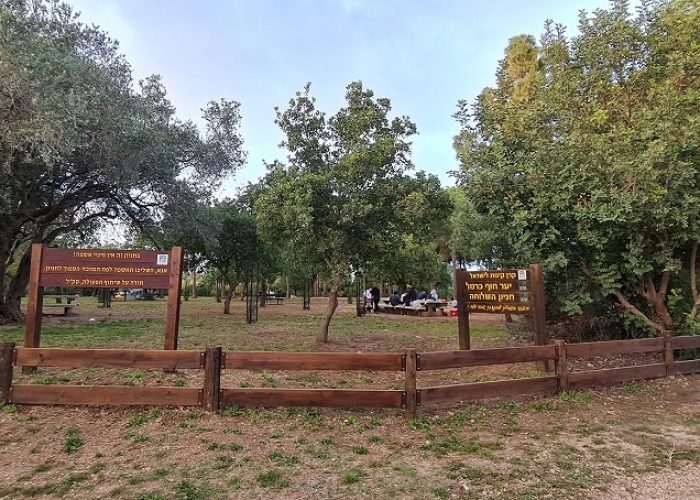 שביל הבריחה ביער עופר יער חוף הכרמל