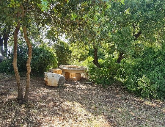 גן ירון אמיתי – לזכרו של ירון אמיתי ז"ל