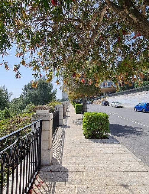 טיילת לואי טיולים בחיפה