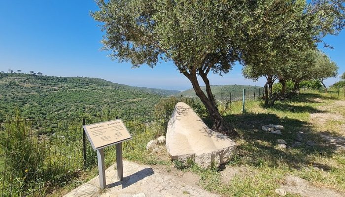 חוות משמר הכרמל