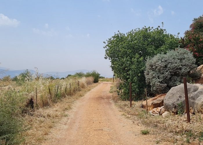 דרך אוצרות כחל