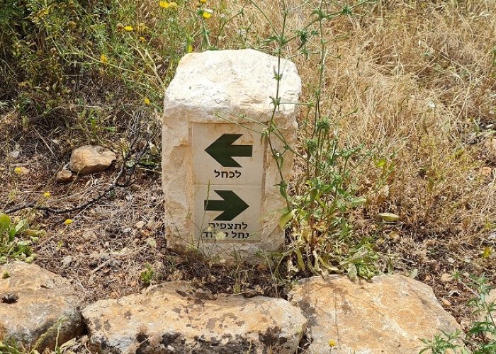 דרך אוצרות כחל