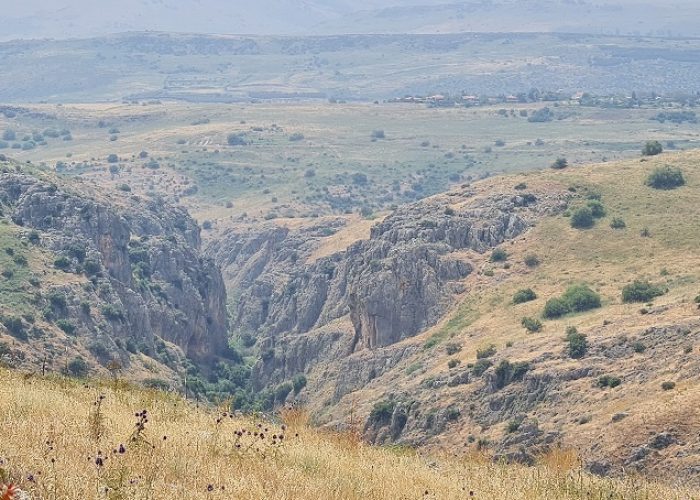 דרך אוצרות כחל