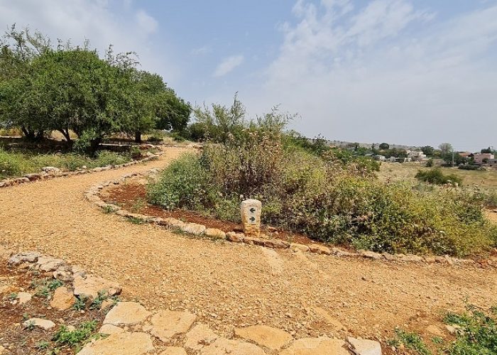 דרך אוצרות כחל